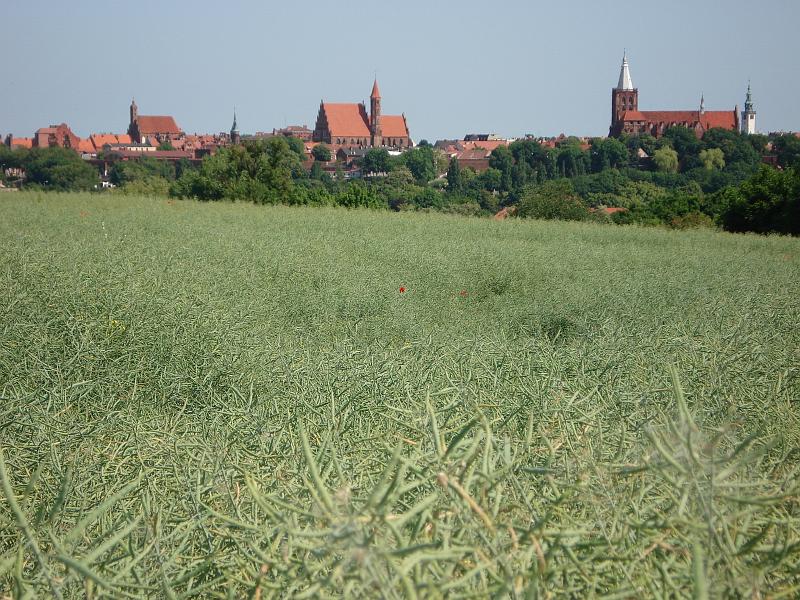 Motorradtour Baltikum Juni 2008_Kulm_Panorama.jpg